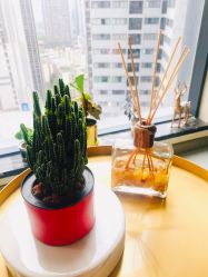 -美最美健康管理中心