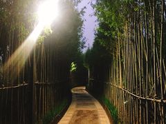 -天津东丽湖风景区