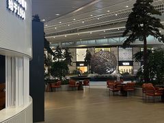-合肥新桥国际机场-航站楼