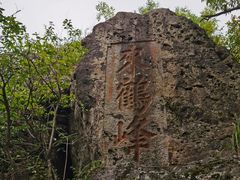 -树山生态村