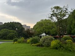 -美再晨游泳馆(新江湾店)