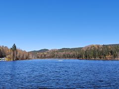 -五营红松林海景区