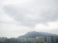 -大埔公路-马料水段香港中文大学(公交站)