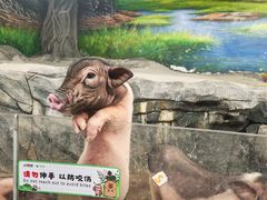 -正佳雨林生态植物园