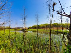-昆山城市生态森林公园