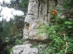 -北京动物园-畅观楼