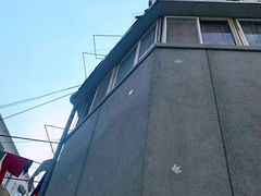 -林曦明现代剪纸艺术馆