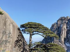 -黄山风景区