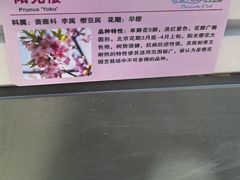 -麦当劳(湖光北街店)