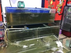 水产区-虾弄弄海派小龙虾·牛羊蝎子火锅