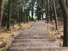 -火炉山森林公园