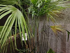 -沼津港精致料理·寿喜烧·烧鸟(龙湖南桥天街日料榜单店)