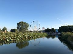 -白洋淀景区