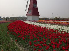 -菊园百果园