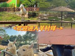 -盈香心动乐园