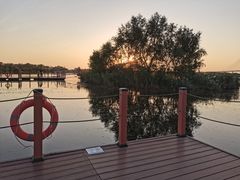 -芒洲湿地公园
