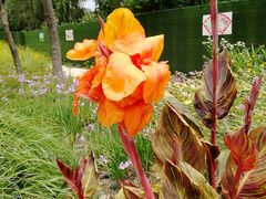 -昆山城市生态森林公园