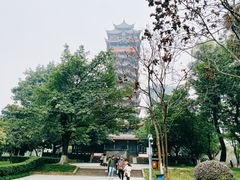 -塔子山公园