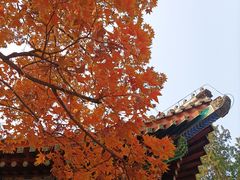 -香山公园