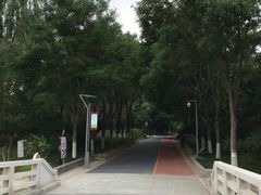 -大兴滨河森林公园