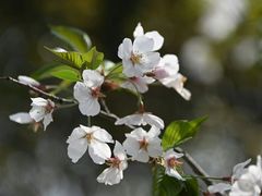 -七宝老街-闵行市民文化广场