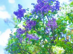 -哈尔滨师范大学(松北校区)