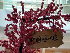 -鹊茶咖啡•新中式(深圳首店)