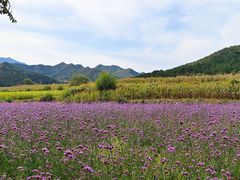 -百里山水画廊
