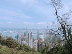 -太平山顶