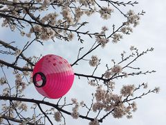 -小吴越·江浙融合菜(惠山万达广场店)