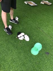 -萌宠亲子动物乐园(槐房万达店)