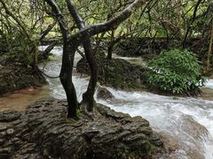 -小七孔景区-六十八级跌水瀑布