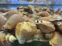 -钱塘府海鲜餐厅