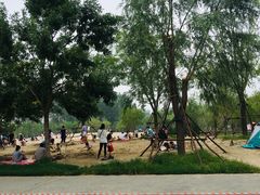 -东郊湿地公园
