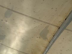 -海驴岛(荣成市)