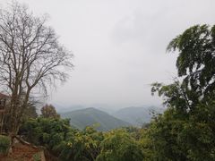 -莫干山风景区