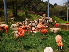 -沈阳森林动物园