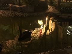 -西安曲江寒窑遗址公园