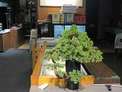 -高玛纳驴肉火烧(一世界店)