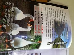 炖大鹅-大鹅岛灶台鱼·铁锅炖(水库路店)