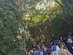 -龙口南山旅游景区