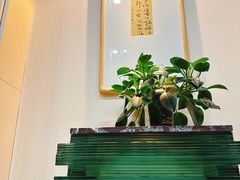 -济南遥墙国际机场-叁号贵宾厅