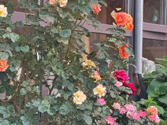 -草原塞蛮羊火锅城(港湾店)