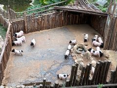 -泉州海丝野生动物世界