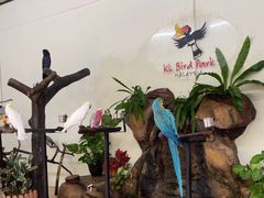 -吉隆坡雀鸟公园