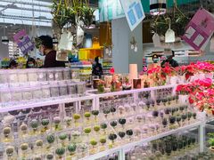 -KKV(深圳宏发大仟里店)