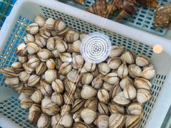 -海底捞火锅(长沙华创国际广场店)