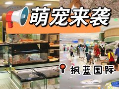 -枫蓝国际购物中心