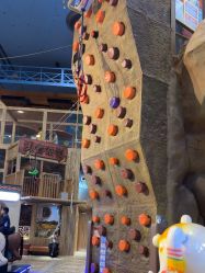 -卡通尼·Safari非洲探索乐园·生日会(金桥国际商业广场店)