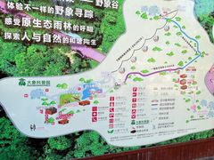 -野象谷景区